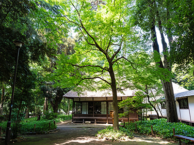 蘆花恒春園｜蘆花公園ザ・レジデンス