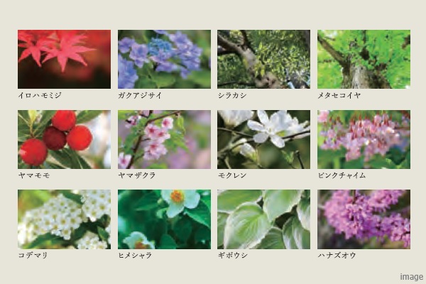 植栽イメージ｜蘆花公園ザ・レジデンス